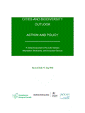 CBO Second Draft